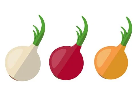 Flat design onions Stock Illustration