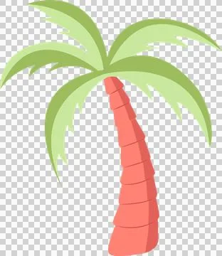 Flat design palm tree is showing coral red trunk, green fronds, transparent Stock Illustration