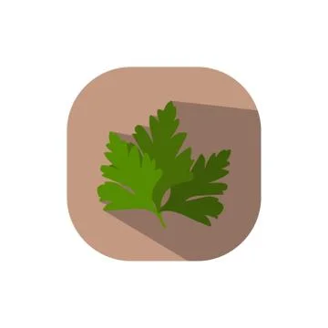 Flat design parsley Stock Illustration