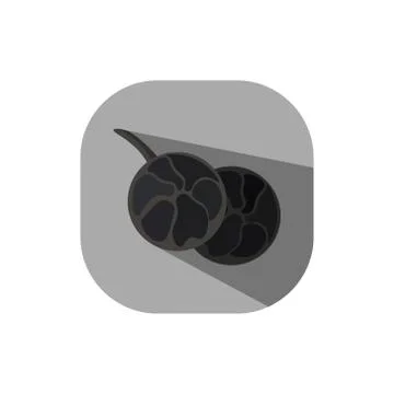 Flat design peppercorn Stock Illustration
