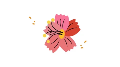 Flat design pink and orange flower icon blooming on white background Stock Footage 345826614