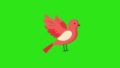 Flat Design Pink Bird Icon for Valentine Day on Green Screen Background Stock Footage 345931318