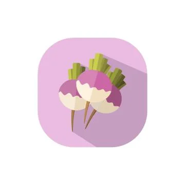 Flat design pink radish Stock Illustration