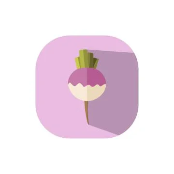 Flat design pink radish Stock Illustration