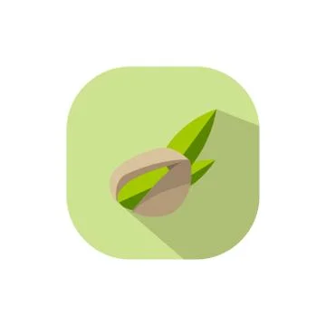 Flat design pistachio Stock Illustration