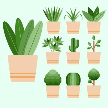 Flat Design Plant In The Vas 스톡 일러스트