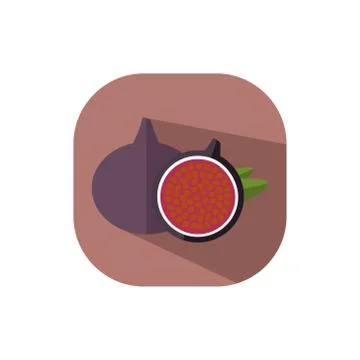 Flat design pomegranate Stock Illustration