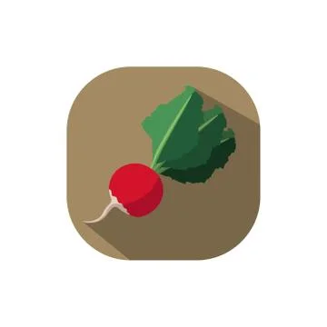 Flat design radish Stock Illustration