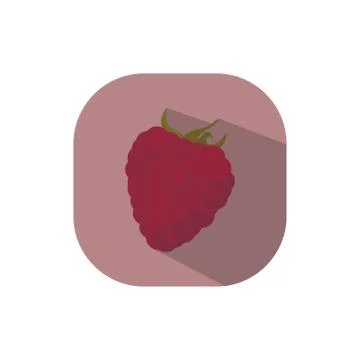 Flat design raspberry Stock Illustration