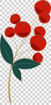 Flat design red berries are showing on golden stem, green leaves, transparent 스톡 일러스트