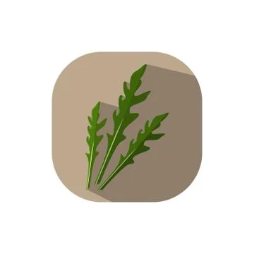Flat design rucola salat Stock Illustration