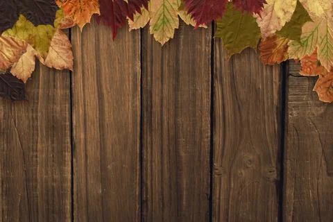 Flat design rustic wooden plank backdrop displaying colorful autumn leaves along Stockfoto's