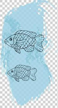 Flat design is showing carp-like fish floating over blue watercolor splash, イラスト素材