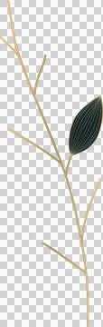 Flat design is showing gold-outlined branch with charcoal leaf on transparent Illustrazione stock
