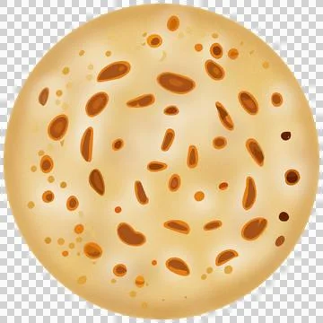 Flat design is showing grainy flatbread topped with seed spots on transparent Illustrazione stock