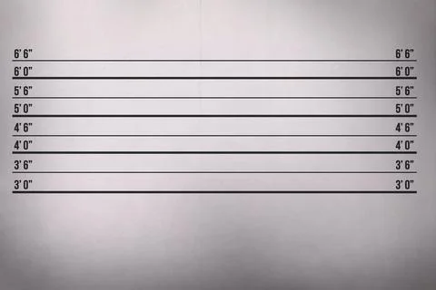 Flat design is showing height scale on light gray wall with black lines, labels, Stock Illustration