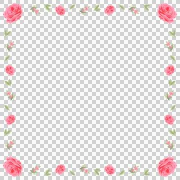 Flat design showing rose border with pink buds and foliage on transparent Stock Illustration