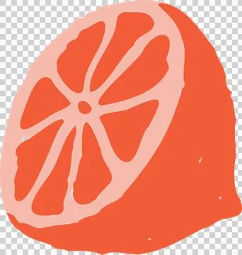 Flat design is showing segments of halved citrus slice in coral-peach hues, Stock Illustration