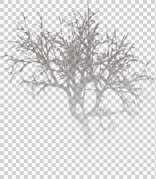 Flat design silhouette showing bare tree with web-like branches, oval voids, Stock Illustration