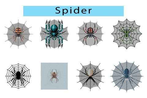 A flat design of a spider crawling on its web, spider vector art and graphics Иллюстрация
