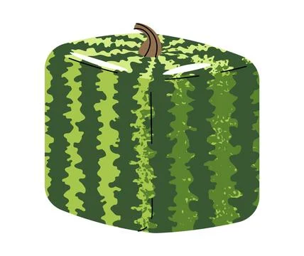 Flat Design Square Watermelon Illustration. Japanese Style Whole Green Fruit Stock Illustration