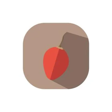 Flat design tamarillo Stock Illustration