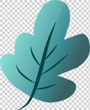 Flat design teal gradient leaf is featuring rounded lobes with veins on Stock Illustration