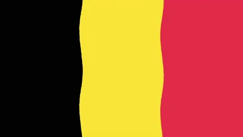 Flat Design Vector Belgium Flag Background Animation Stock Footage 203998765