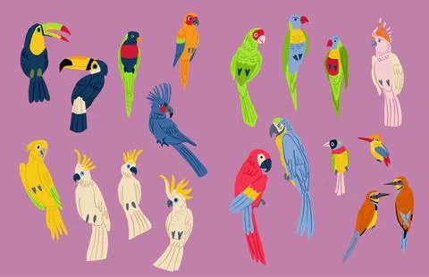 Flat design vector birds icon set. Popular birding species collection. Exotic Stock Illustration