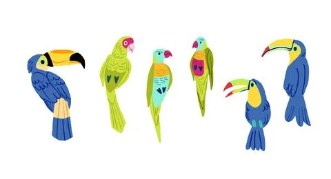 Flat design vector birds icon set. Popular birding species collection. Exotic Stock Illustration