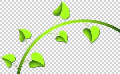 Flat design vine is arching across transparent backdrop, showing glossy Stock Illustration