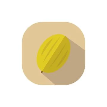 Flat design yellow melon Stock Illustration