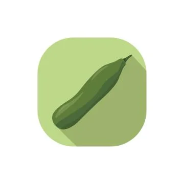 Flat design zucchini Stock Illustration