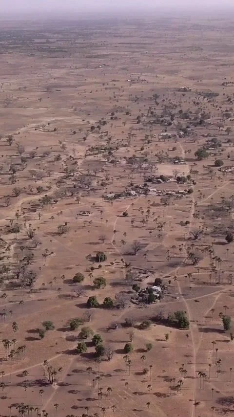 Flat dry land with baobab trees and small bushes, road passing in middle Stock Footage 230673466