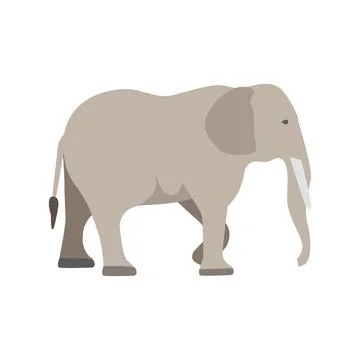 Flat elephant on white background Stock Illustration