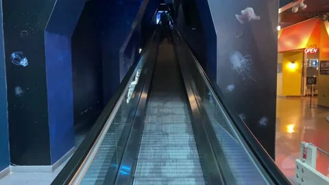 Flat Escalator at Museum Ascends to Upper Level-Electric Staircase Stock Footage 170945683