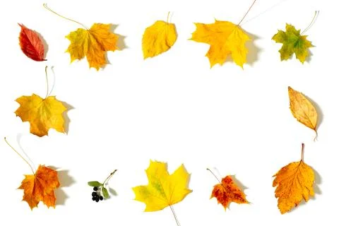 Flat fall leaves invitation design leaves template autumn greeting card autumn Stock Photos