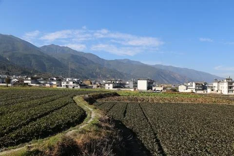 Flat farmland with rows of crops, small village, and mountain range under b.. Stock Photos