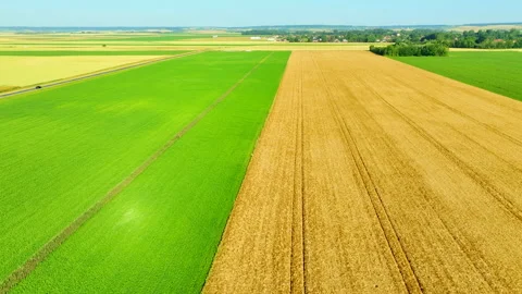 Flat field Landscape Stock Footage 315505732