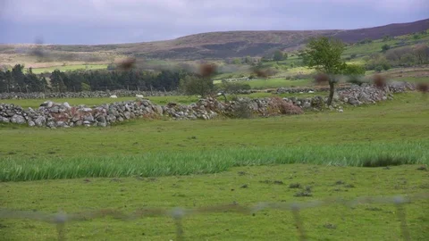 Flat Fields with Cobblestone Видео 75588530