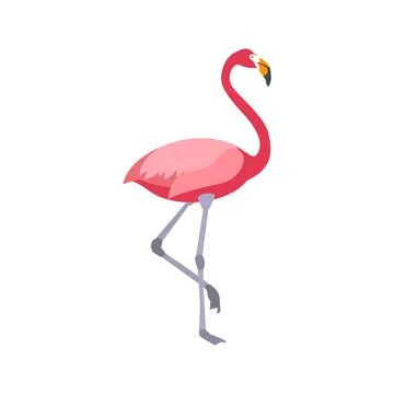 Flat flamingo on white background Stock Illustration