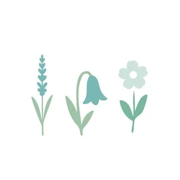 Flat Floral Composition with Three Bright Flowers on White Background . Minim Stock Illustration