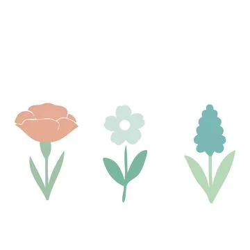Flat Floral Composition with Three Bright Flowers on White Background . Minim Stock Illustration