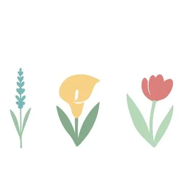 Flat Floral Composition with Three Bright Flowers on White Background . Minim Stock Illustration