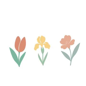 Flat Floral Composition with Three Bright Flowers on White Background . Minim Stock Illustration