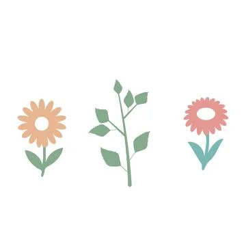Flat Floral Composition with Three Bright Flowers on White Background . Minim Stock Illustration