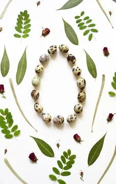 Flat floral Easter composition on white background with copy space in the sha Stock Photos