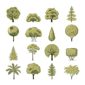 Flat forest trees camping elements for landscape design. Different trees in side Stock Illustration