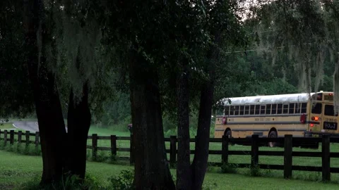 Flat Front School Bus Drives By Pan Shot FL Countryside 4K 스톡 동영상 205477635