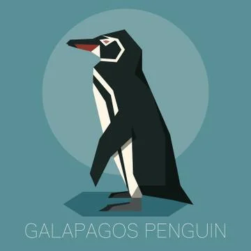 Flat Galapagos penguin Stock Illustration